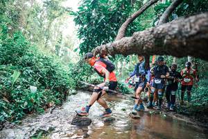 BIB: 
                            <button type="button" onclick="openModal(25372025)" class="btn btn-primary btn-sm float-right btn-popup" data-toggle="modal" data-target=".modal-high-quality">
                        <i class="fas fa-shopping-cart"></i> Add to Cart
                    </button>
                                            <button type="button" onclick="isThisMe(25372025, true)" class="btn btn-success btn-sm float-right btn-popup btn-isme hidden" data-toggle="tooltip" data-placement="bottom" title="นี่คือรูปของคุณใช่ไหม คลิกที่นี่เพื่อเอาเข้าอัลบั้ม">
                        <i class="fas fa-plus"></i> Add to album
                    </button>
                    <button type="button" onclick="isThisMe(25372025, false)" class="btn btn-warning btn-sm float-right btn-popup btn-isnotme hidden">
                        <i class="fas fa-ban"></i> Remove from album
                    </button>